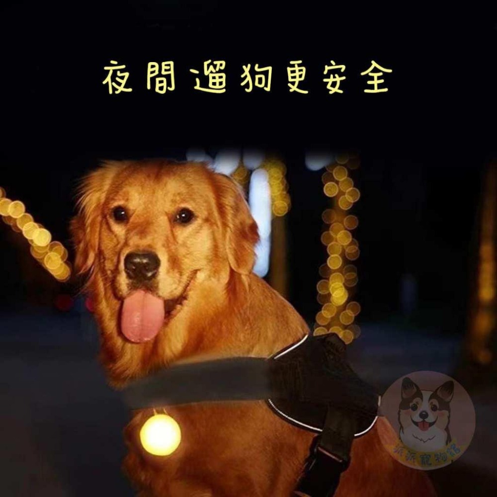 警示燈💡 發光小吊墜🌞 寵物發光吊墜 狗狗散步 夜間 遛狗 寵物燈 遛狗電燈 項圈燈 發光吊飾LED寵物發光項圈 狗狗燈-細節圖4