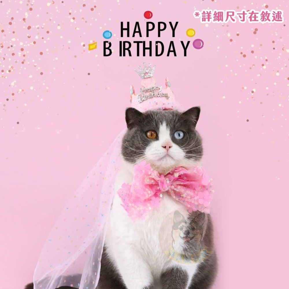 現貨秒出🎉 寵物生日配件🎂 寵物生日帽 狗狗生日 貓咪生日 狗生日帽 生日領巾寵物狗狗貓咪帽子領巾圍兜狗聚派對生日快樂-細節圖8