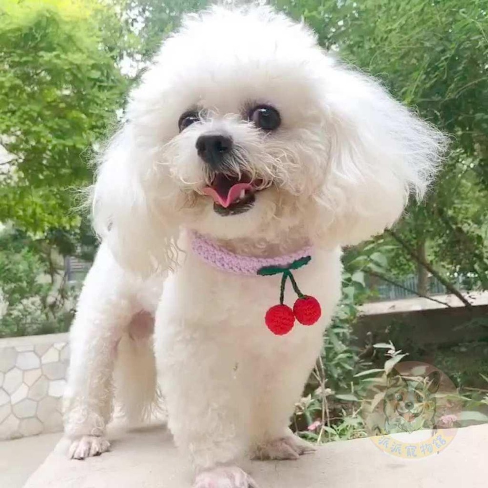 🍒櫻桃針織項圈🍒 貓咪圍脖 貓咪領巾 貓領巾 貓咪圍巾 貓項圈 貓咪項圈 寵物項圈 寵物頸圈 狗狗寵物圍巾毛線項圈圍脖-細節圖4