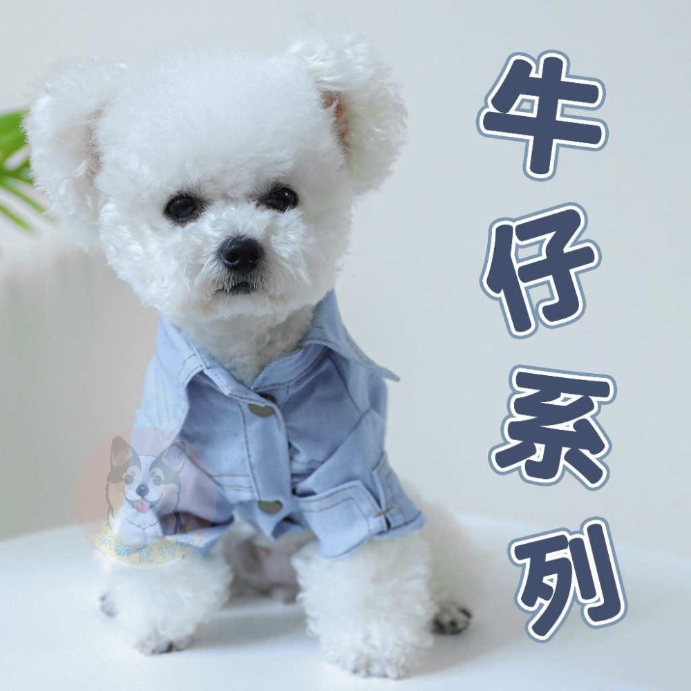 牛仔系列🤠 寵物衣服 狗狗衣服 狗衣服 貓咪衣服 貓衣服 寵物襯衫 狗狗襯衫 寵物服飾 狗衣服夏天 博美比熊貴賓狗衣服-細節圖3