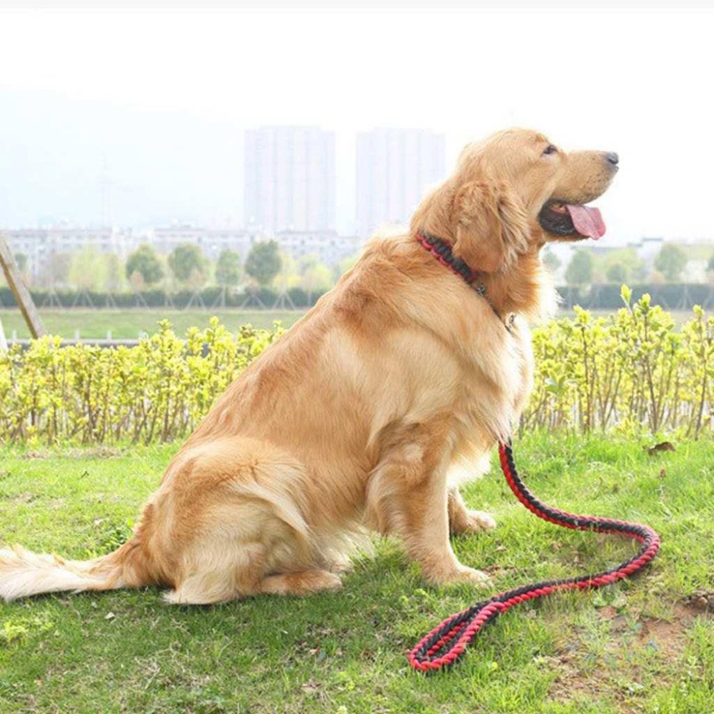 ✨八股編織繩✨ 牽繩 寵物牽繩 狗牽繩 牽引繩 狗繩 遛狗繩 狗狗牽繩 大型犬牽繩 防暴衝牽繩寵物繩狗狗用品狗用品狗狗-細節圖5