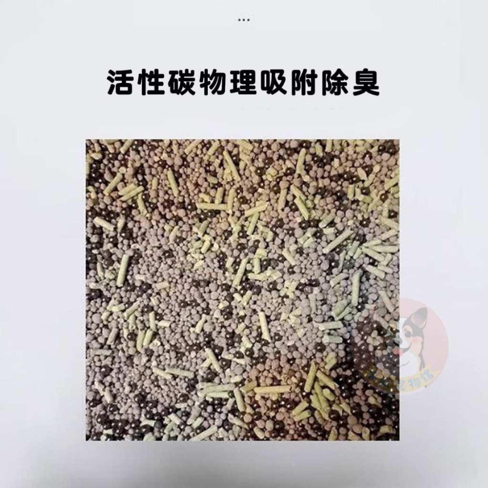 貓砂除臭珠🌺 貓砂珠珠 貓咪用品 貓用品 除臭 寵物用品 消臭 防臭 幼貓 貓砂 貓砂盆蘋果薰衣草咖啡茉莉香水檸檬異味-細節圖3