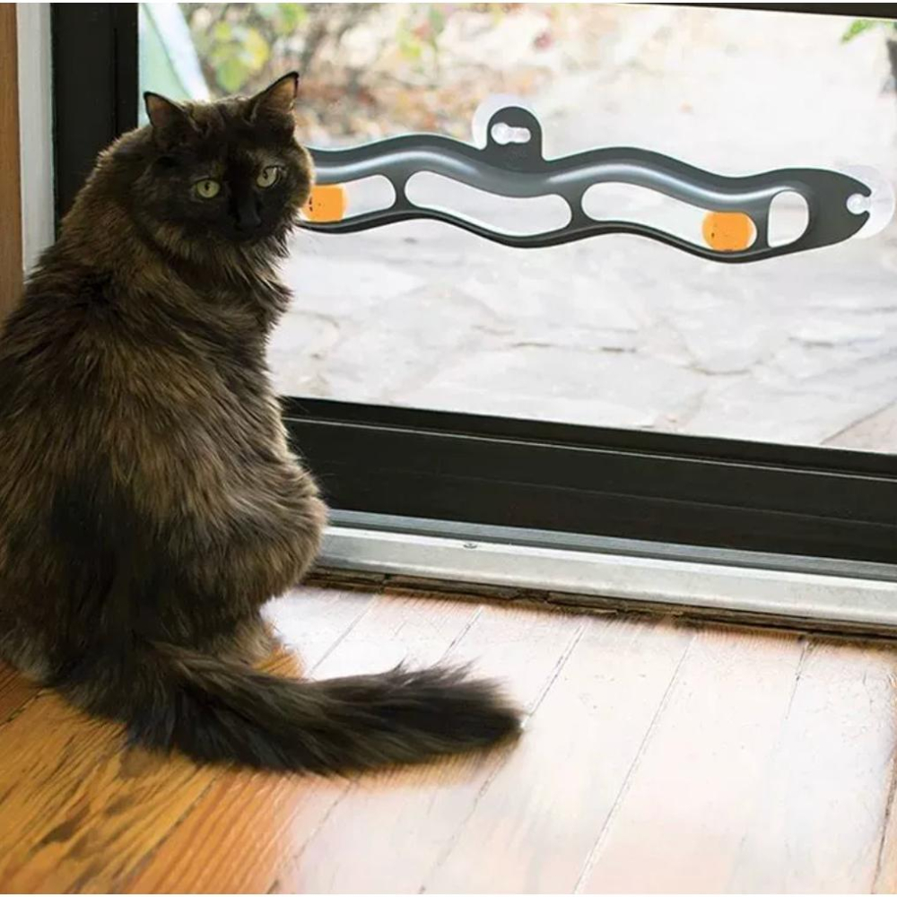 吸盤貓軌道😍 貓抓球 貓玩具 貓咪玩具 寵物玩具逗貓逗貓玩具兵乓球軌道幼貓玩具貓球貓的玩具貓咪小貓玩具懶人貓益智吸盤-細節圖2