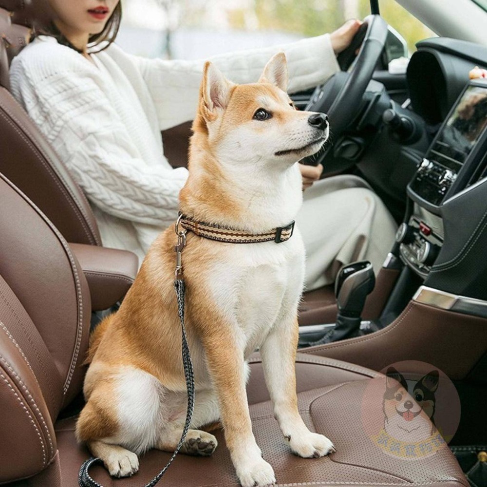 開車必備👍 車用安全扣 寵物外出用品 狗狗車用品 狗狗用品 狗用品 寵物用品 狗狗牽繩 寵物牽繩 寵物安全帶 寵物狗繩-細節圖3