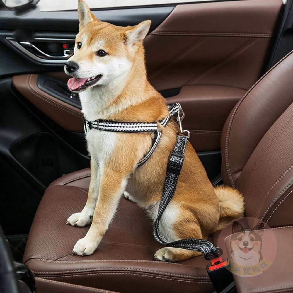 開車必備👍 車用安全扣 寵物外出用品 狗狗車用品 狗狗用品 狗用品 寵物用品 狗狗牽繩 寵物牽繩 寵物安全帶 寵物狗繩-細節圖4