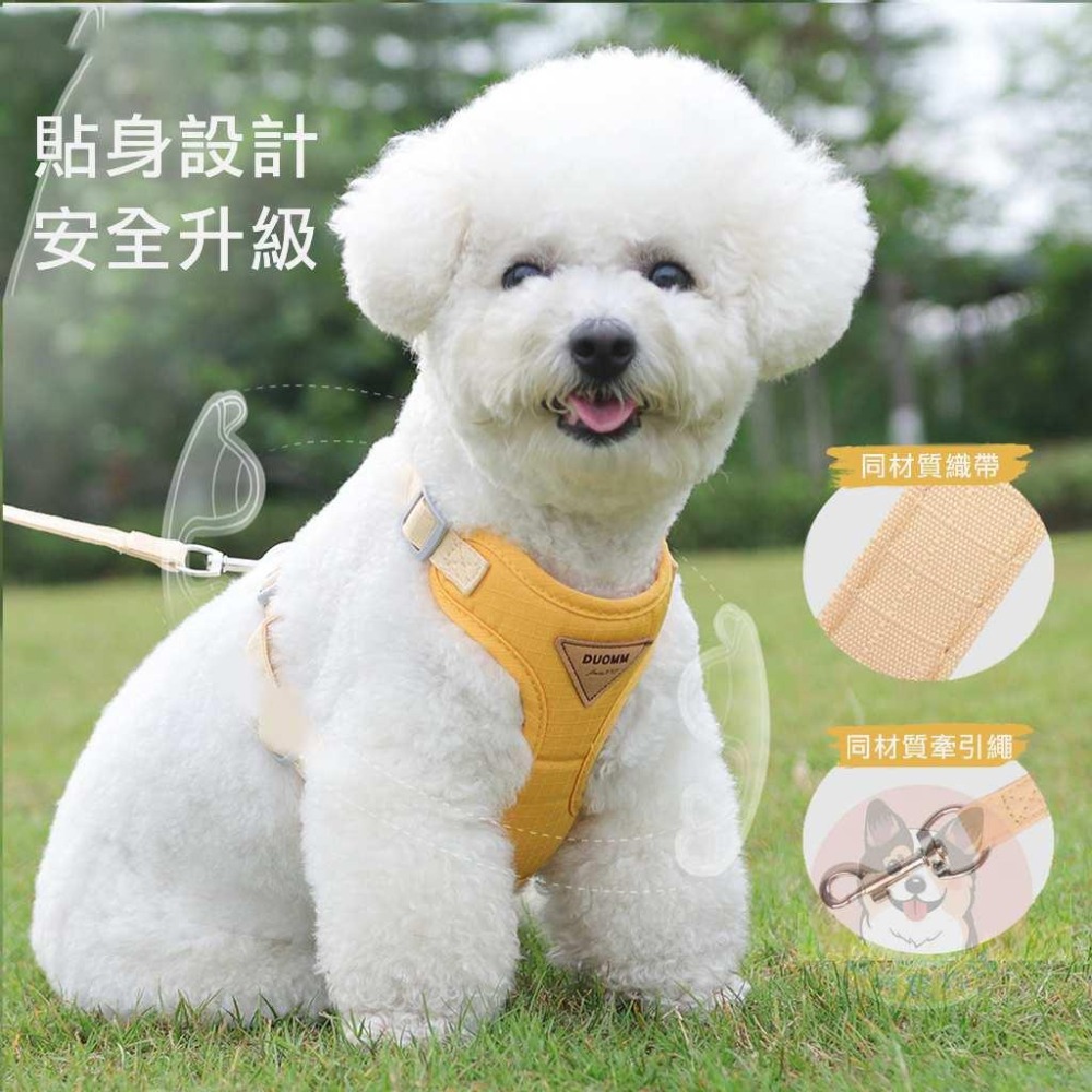 🍀輕盈胸背帶🍀 胸背帶 寵物胸背帶 狗狗胸背帶 貓咪胸背帶 狗胸背帶 貓胸背帶幼犬胸背帶小型犬胸背帶胸背狗胸背寵物背帶-細節圖2