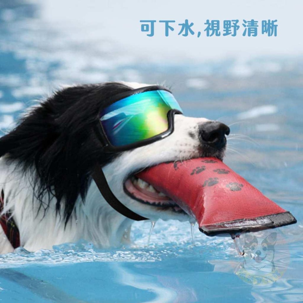 超帥😎 寵物護目鏡 狗狗護目鏡 狗狗眼鏡 寵物眼鏡 大狗寵物配件大型犬中型犬柯基薩摩耶邊牧黃金哈士奇防風防沙護目鏡鏡框-細節圖5