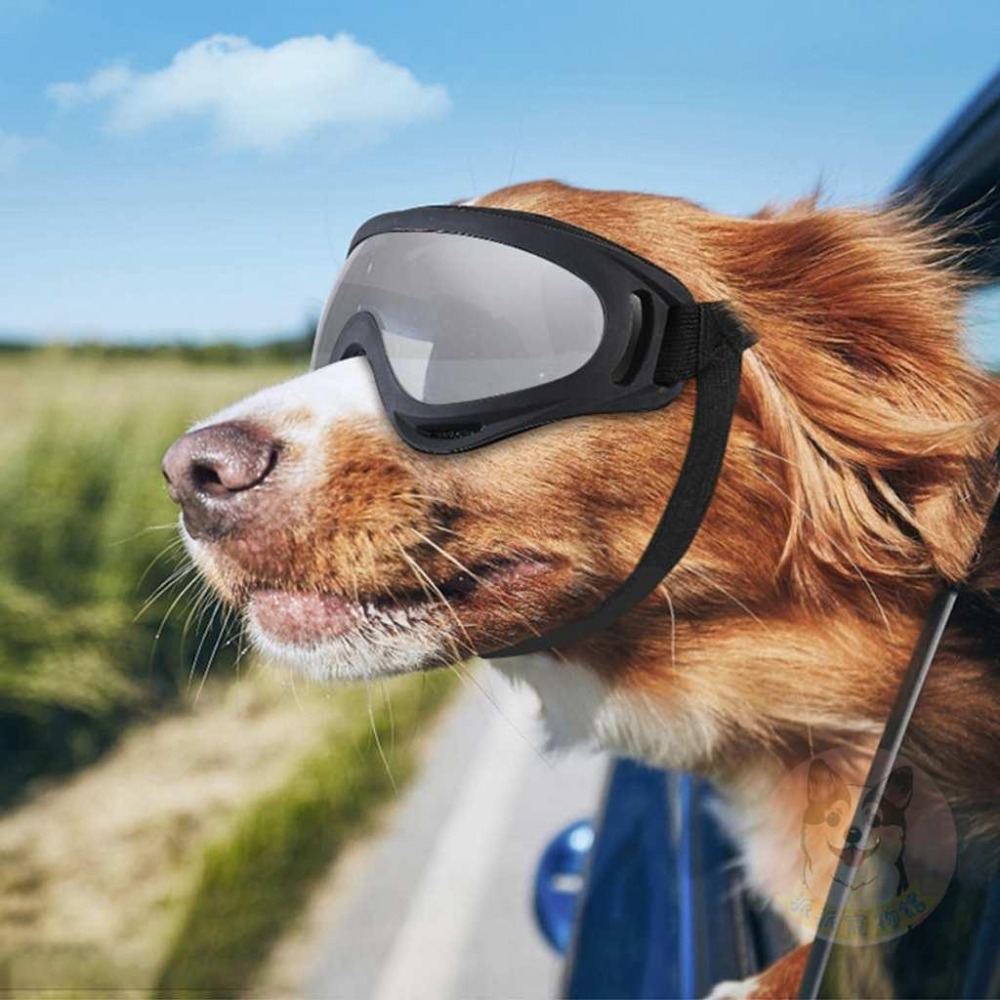 超帥😎 寵物護目鏡 狗狗護目鏡 狗狗眼鏡 寵物眼鏡 大狗寵物配件大型犬中型犬柯基薩摩耶邊牧黃金哈士奇防風防沙護目鏡鏡框-細節圖6