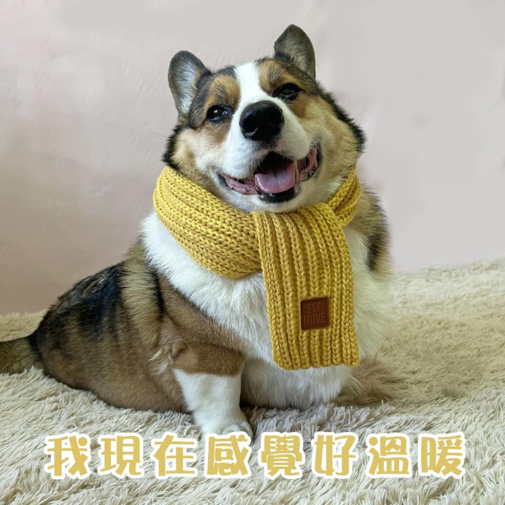 🧣寵物圍巾🧣 狗狗圍巾 貓咪圍巾 狗圍巾 貓圍巾 狗圍脖 貓圍脖 寵物領巾 寵物保暖 貓咪圍脖 狗狗圍脖 寵物服飾冬天-細節圖6