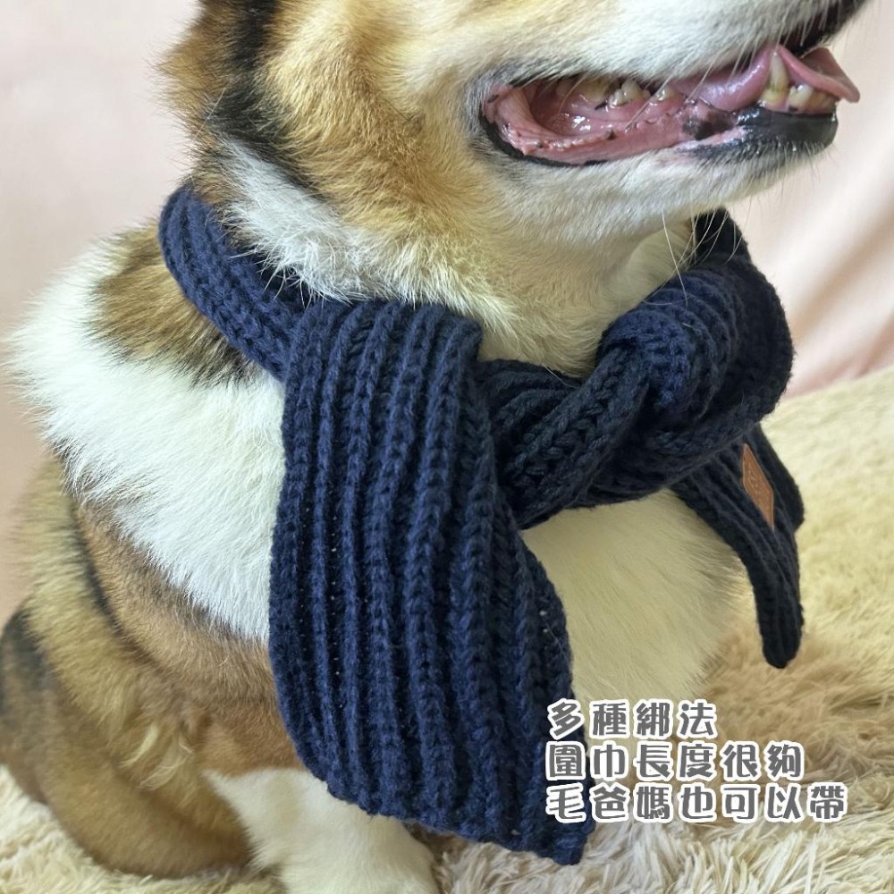 🧣寵物圍巾🧣 狗狗圍巾 貓咪圍巾 狗圍巾 貓圍巾 狗圍脖 貓圍脖 寵物領巾 寵物保暖 貓咪圍脖 狗狗圍脖 寵物服飾冬天-細節圖7