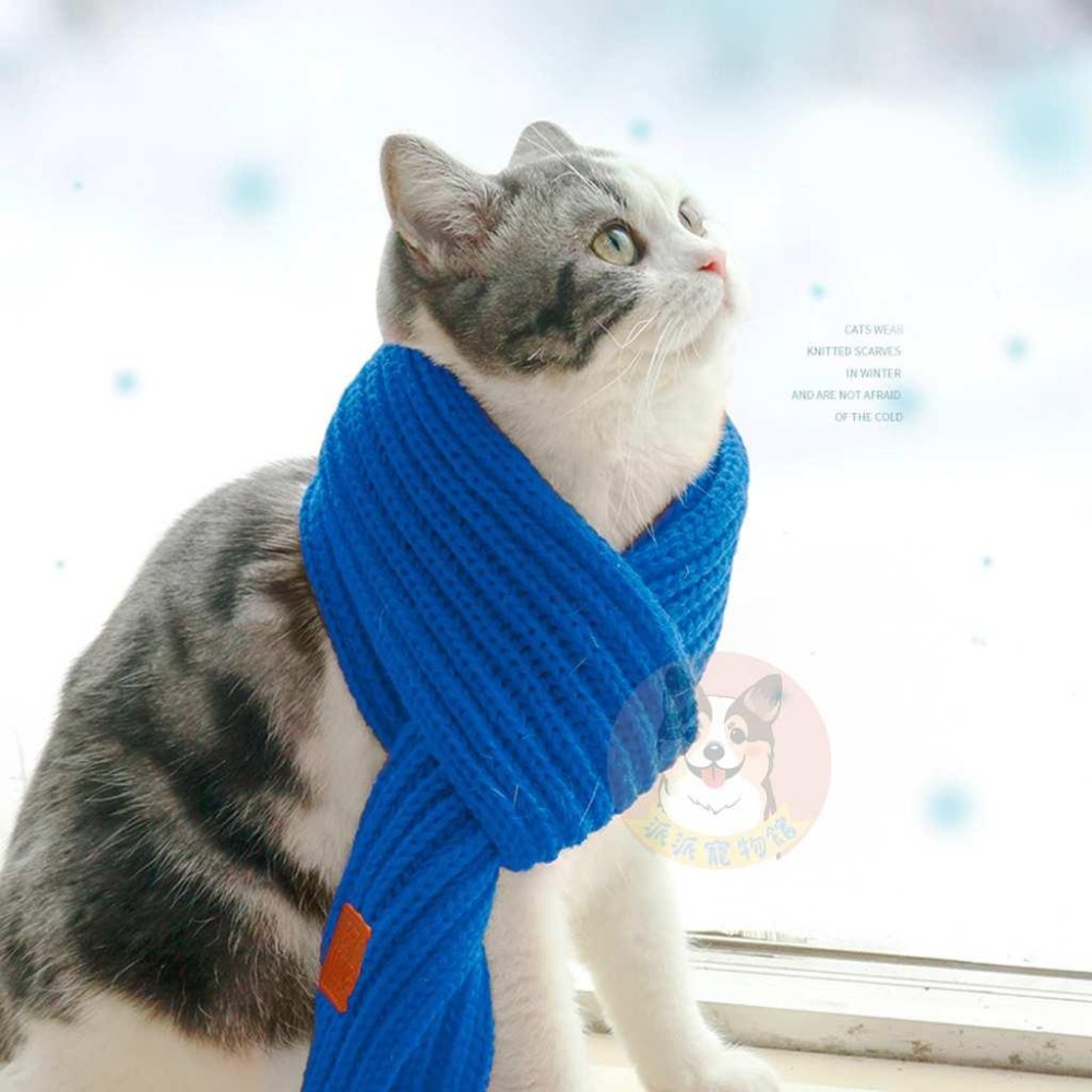 🧣寵物圍巾🧣 狗狗圍巾 貓咪圍巾 狗圍巾 貓圍巾 狗圍脖 貓圍脖 寵物領巾 寵物保暖 貓咪圍脖 狗狗圍脖 寵物服飾冬天-細節圖8