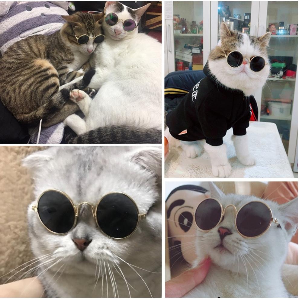 👓寵物小眼鏡👓 寵物眼鏡 寵物鏡框 貓咪眼鏡 貓眼鏡 小狗眼鏡 寵物墨鏡 貓咪墨鏡 貓墨鏡 貓咪鏡框寵物配件 寵物服飾-細節圖2