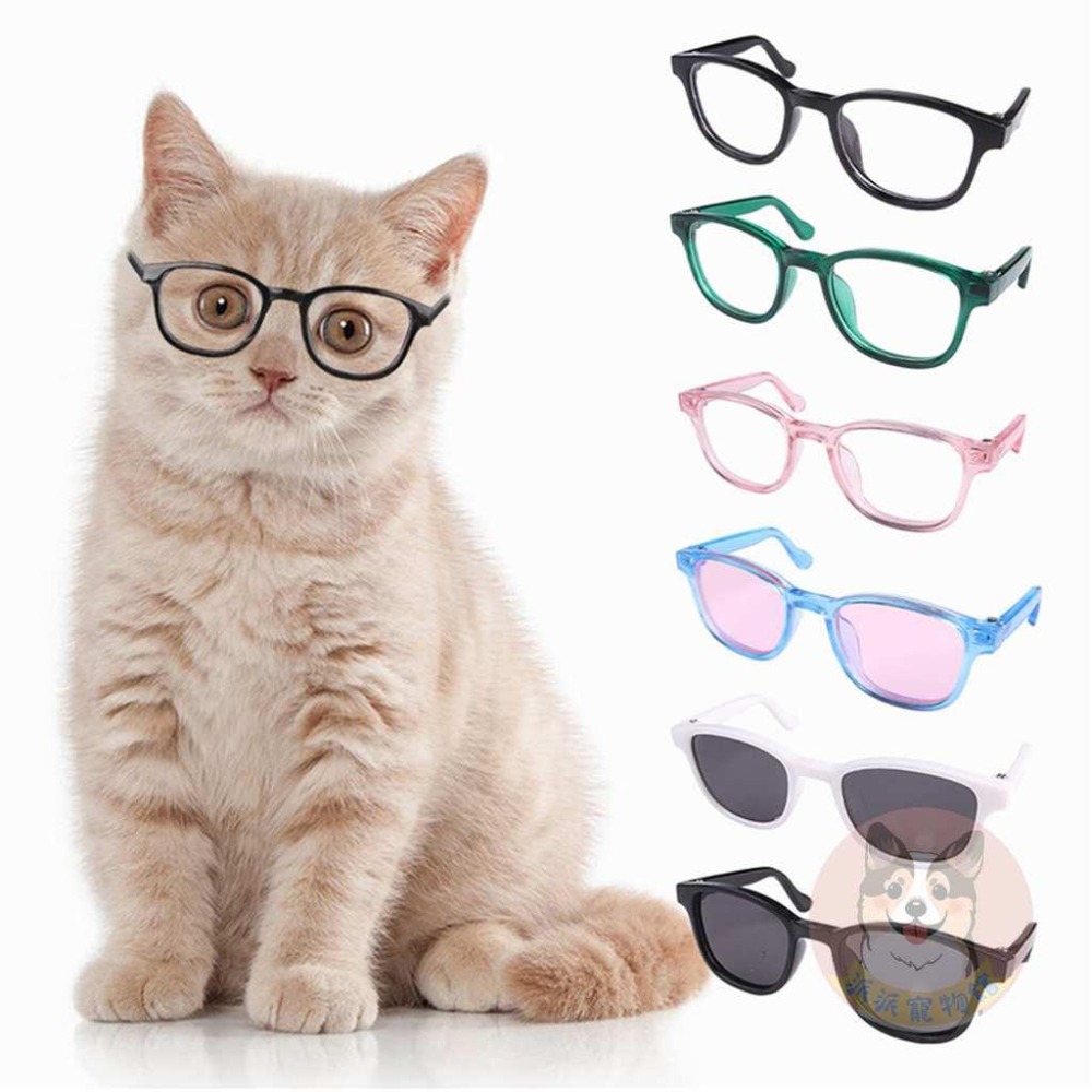 👓寵物小眼鏡👓 寵物眼鏡 寵物鏡框 貓咪眼鏡 貓眼鏡 小狗眼鏡 寵物墨鏡 貓咪墨鏡 貓墨鏡 貓咪鏡框寵物配件 寵物服飾-細節圖6
