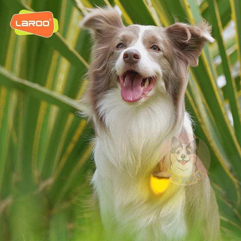 laroo 發光榛果吊墜🐿️ 寵物發光吊墜 狗狗散步 夜間 遛狗 寵物燈 遛狗電燈 項圈燈 發光吊飾LED寵物發光項圈-細節圖5
