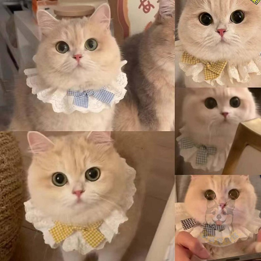 🪄白底格子圍脖🪄 寵物領巾 貓領巾 狗領巾 貓咪領巾 狗狗領巾 貓咪圍巾 貓狗寵物圍巾寵物貓咪配件圍兜口水巾項圈圍脖-細節圖2