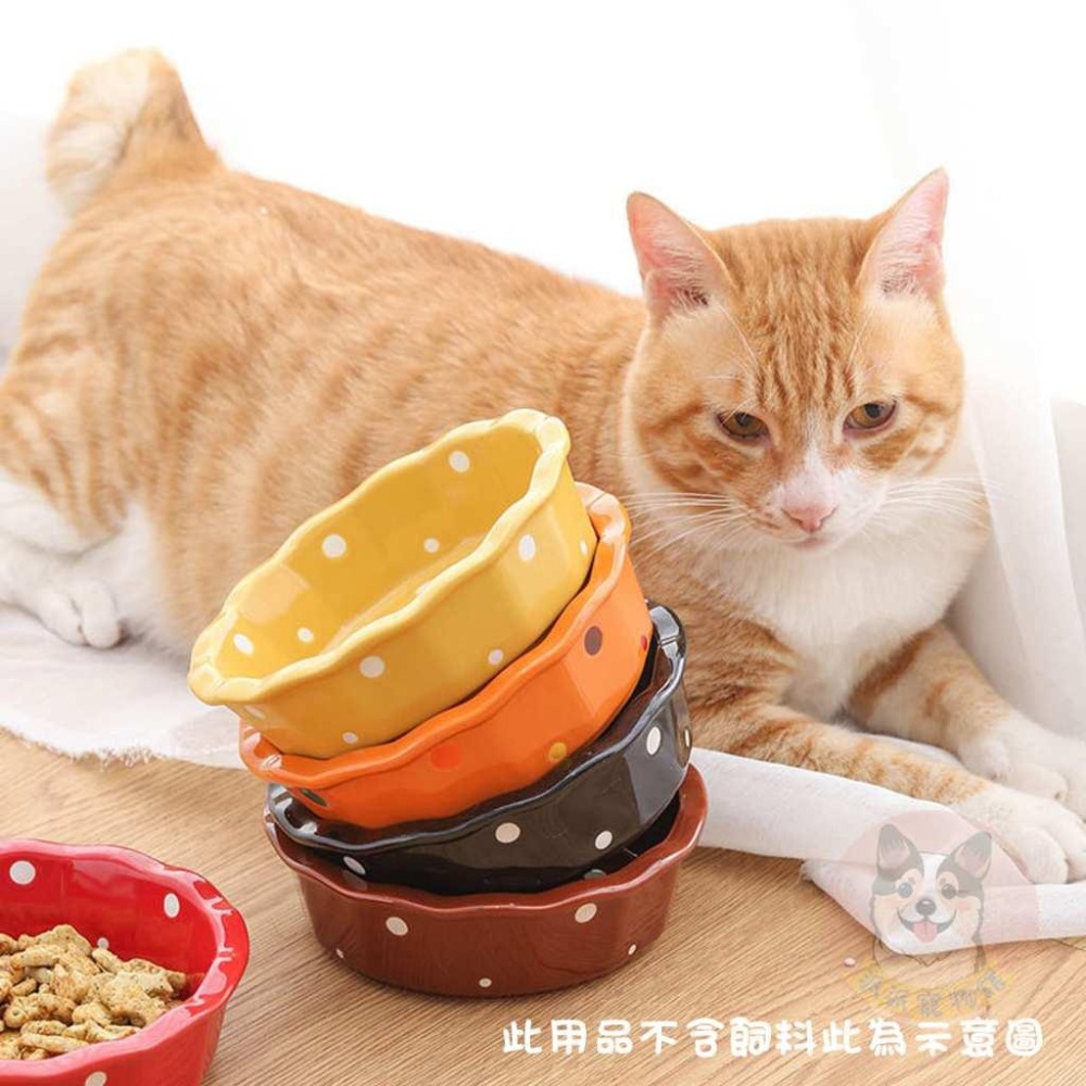 ❤點點陶瓷碗/架子❤ 貓碗 寵物碗 貓咪碗 寵物碗架 寵物陶瓷碗 貓碗架 貓咪飼料碗 貓咪碗架 貓用品 護頸碗寵物碗架貓-細節圖4