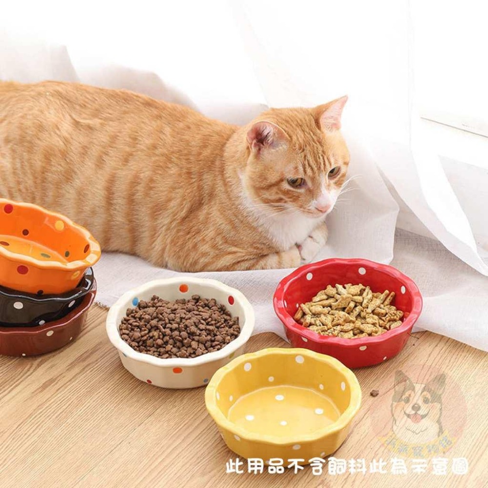 ❤點點陶瓷碗/架子❤ 貓碗 寵物碗 貓咪碗 寵物碗架 寵物陶瓷碗 貓碗架 貓咪飼料碗 貓咪碗架 貓用品 護頸碗寵物碗架貓-細節圖6