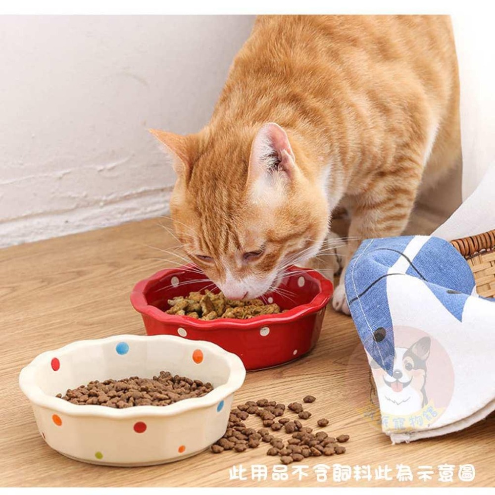❤點點陶瓷碗/架子❤ 貓碗 寵物碗 貓咪碗 寵物碗架 寵物陶瓷碗 貓碗架 貓咪飼料碗 貓咪碗架 貓用品 護頸碗寵物碗架貓-細節圖7