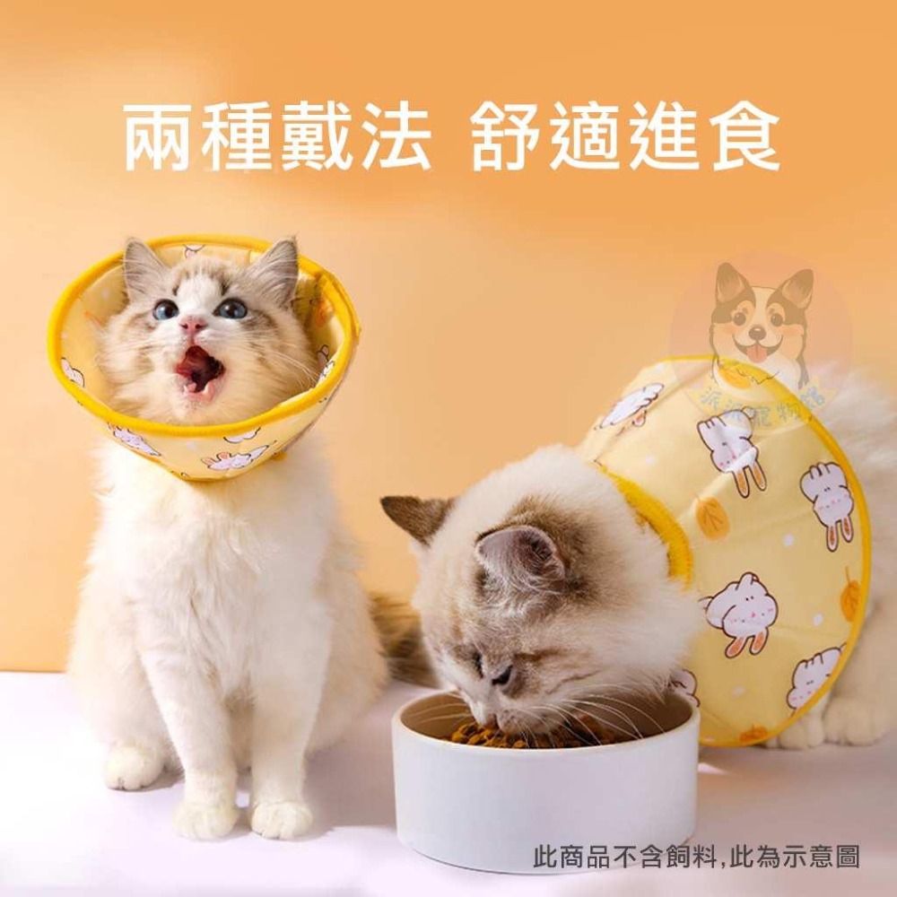 🇹🇼現貨 🐰滿版防舔頭套🐰 寵物頭套 狗狗頭套 狗頭套 貓頭套 貓咪頭套 伊莉莎白頭套 防咬防舔頭套羞恥甜甜圈寵物用品-細節圖2