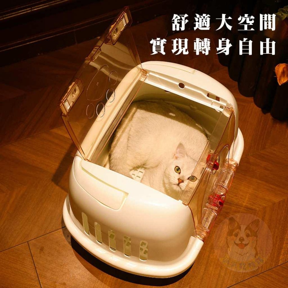 💗愛心外出提籠💗 寵物外出籠 貓咪外出籠 貓籠 寵物籠子 貓外出籠 狗外出籠 狗狗外出籠 籠子 寵物用品 貓咪用品 貓咪-細節圖3