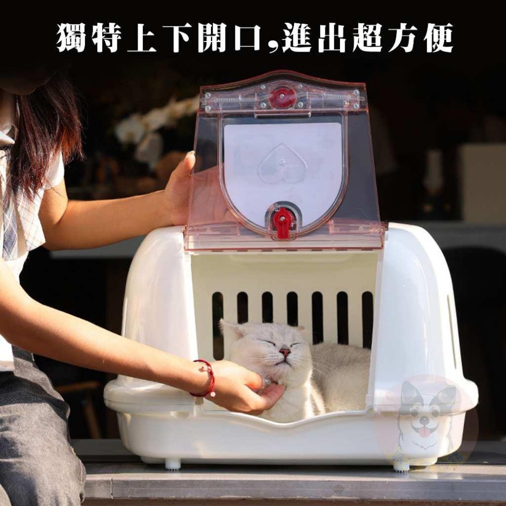 💗愛心外出提籠💗 寵物外出籠 貓咪外出籠 貓籠 寵物籠子 貓外出籠 狗外出籠 狗狗外出籠 籠子 寵物用品 貓咪用品 貓咪-細節圖4