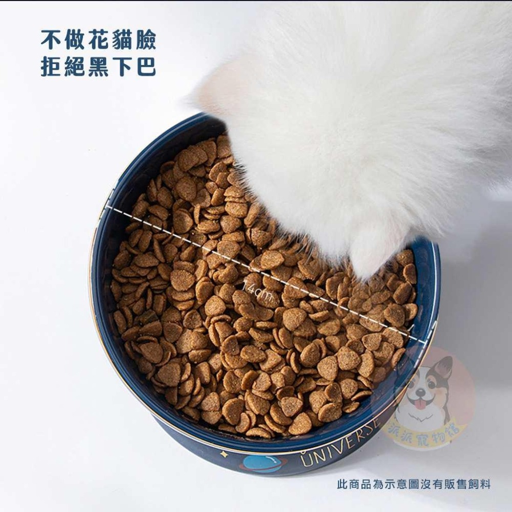 🌟星空陶瓷碗🌛 貓碗 寵物碗 貓咪碗 寵物碗架 寵物陶瓷碗 貓碗架 貓咪飼料碗 貓咪碗架 貓用品 護頸碗 寵物碗架貓-細節圖4