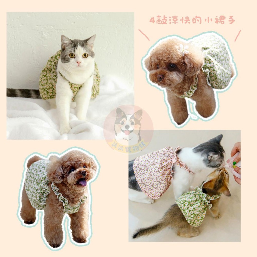 💐寵物吊帶裙💐 寵物衣服 狗衣服 貓衣服 狗狗衣服 貓咪衣服 寵物服飾 寵物裙子 貴賓狗小型犬小狗博美比熊幼犬幼貓衣服-細節圖3