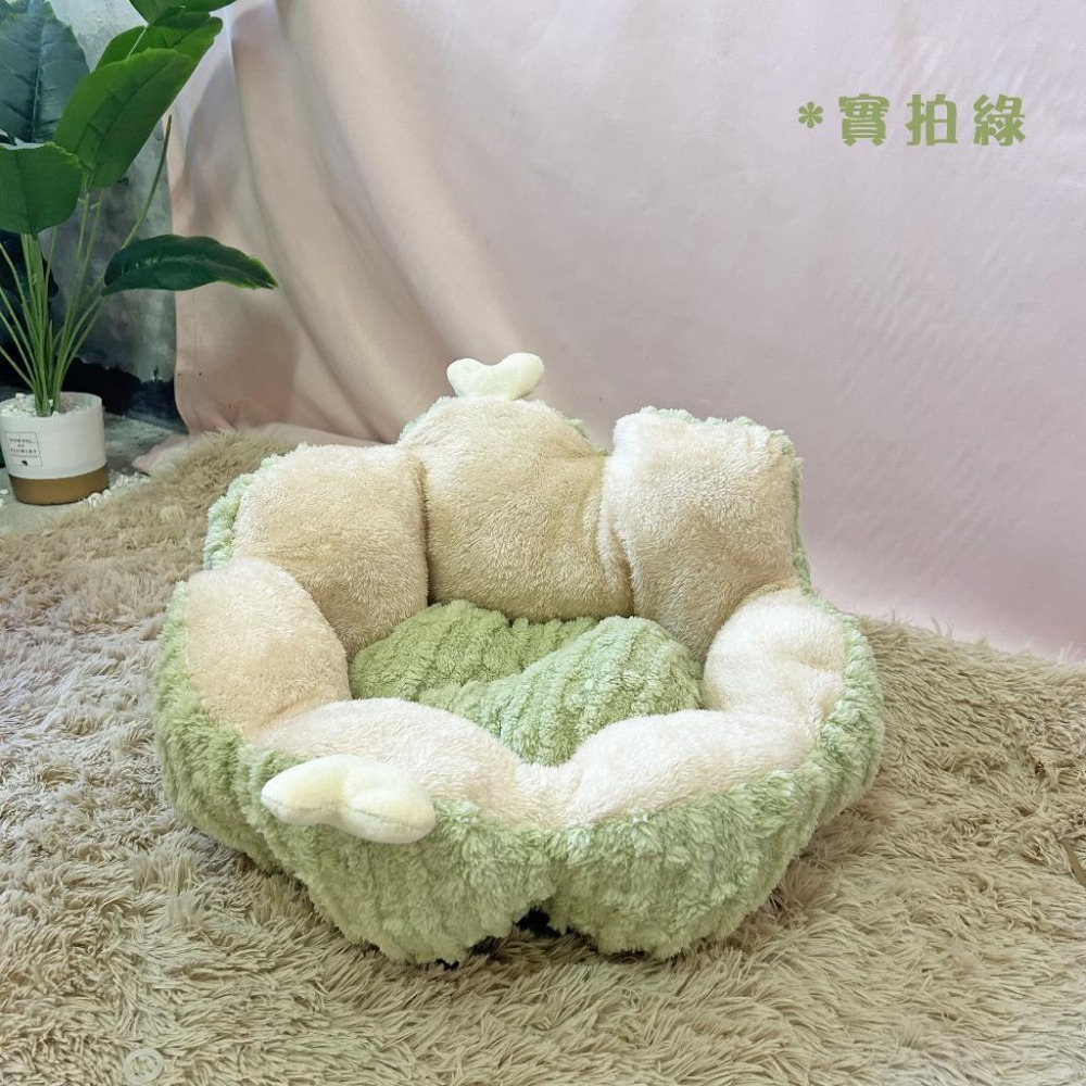 🌵仙人掌貓窩🌵 貓窩 狗窩 寵物窩 窩 寵物床 狗床 寵物睡墊 寵物墊子 寵物墊 狗狗床 貓床 寵物睡窩 貓咪窩 貓咪-細節圖6