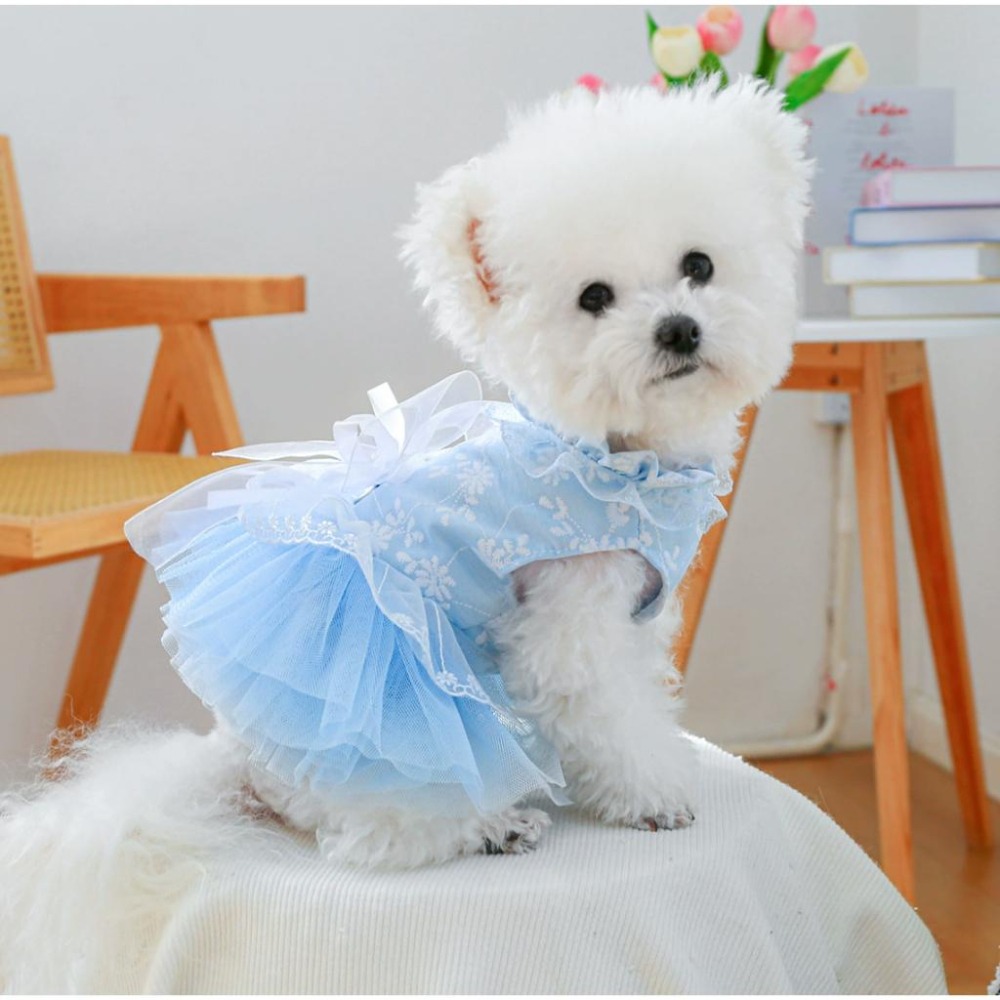 🧚‍♀️寵物婚紗🧚‍♀️ 狗狗衣服 寵物衣服 狗衣服 狗狗婚紗 狗婚紗 狗狗禮服 小狗衣服 貴賓比熊馬爾濟斯博美臘腸衣服-細節圖7