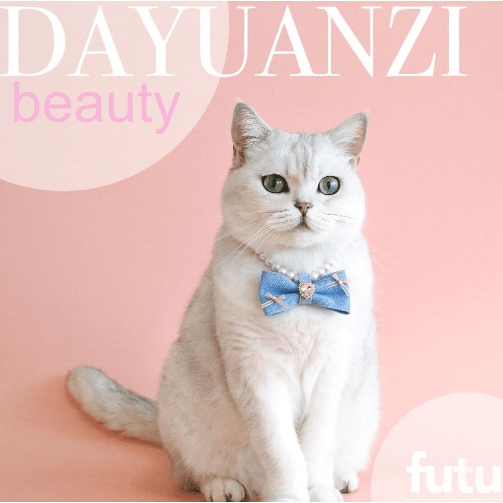 🍒珍珠項鍊🍒 寵物項鍊 貓咪項鍊 貓項鍊 狗狗項鍊 狗項鍊 寵物配件 寵物鏈子 寵物領結 寵物服飾 貓咪領巾 貓領巾-細節圖6