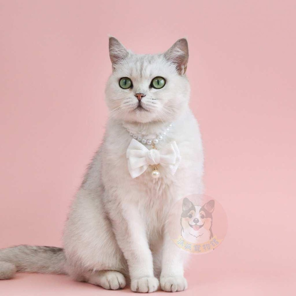 🍒珍珠項鍊🍒 寵物項鍊 貓咪項鍊 貓項鍊 狗狗項鍊 狗項鍊 寵物配件 寵物鏈子 寵物領結 寵物服飾 貓咪領巾 貓領巾-細節圖8