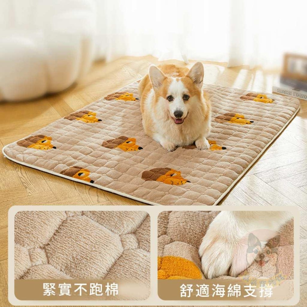 🐶珊瑚絨小狗墊🐶 墊子 寵物墊子 狗狗墊子 狗墊子 貓咪墊子 貓墊子 狗窩 貓窩 寵物睡墊 狗墊 貓墊 寵物窩墊 珊瑚絨-細節圖2