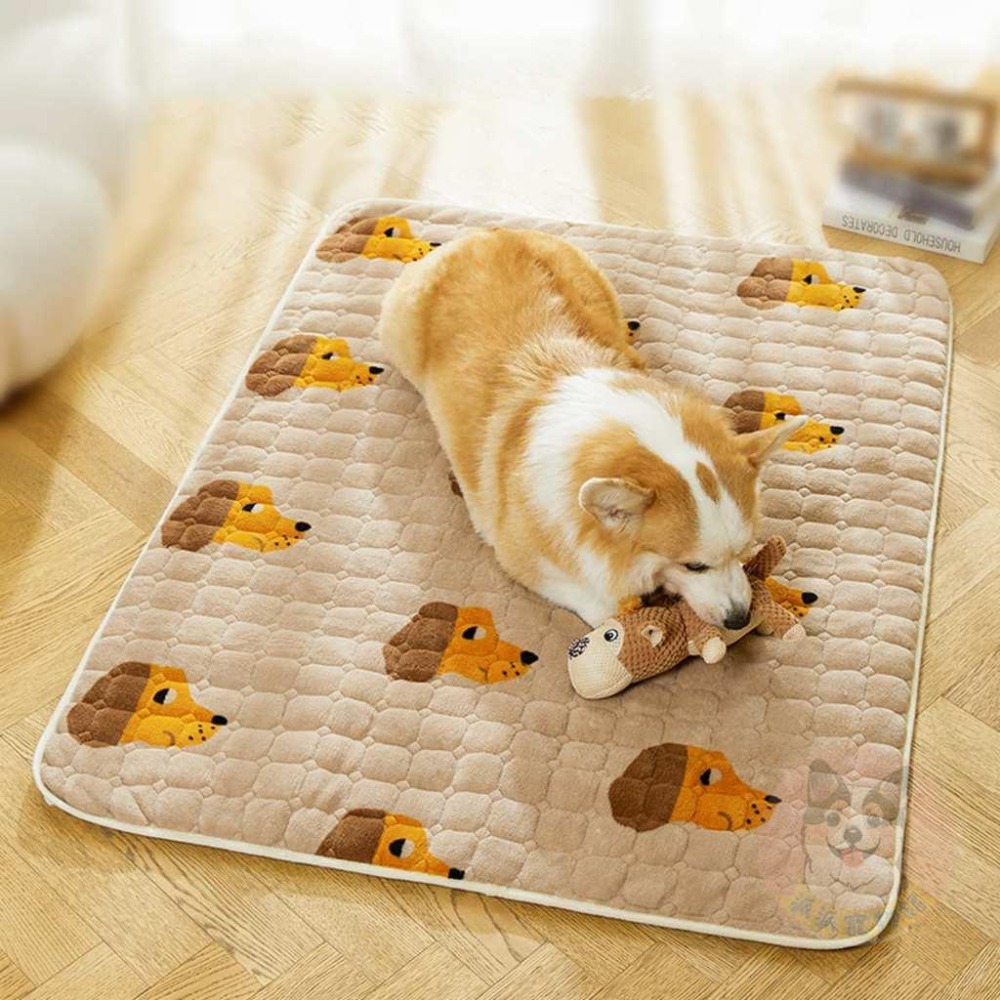 🐶珊瑚絨小狗墊🐶 墊子 寵物墊子 狗狗墊子 狗墊子 貓咪墊子 貓墊子 狗窩 貓窩 寵物睡墊 狗墊 貓墊 寵物窩墊 珊瑚絨-細節圖3