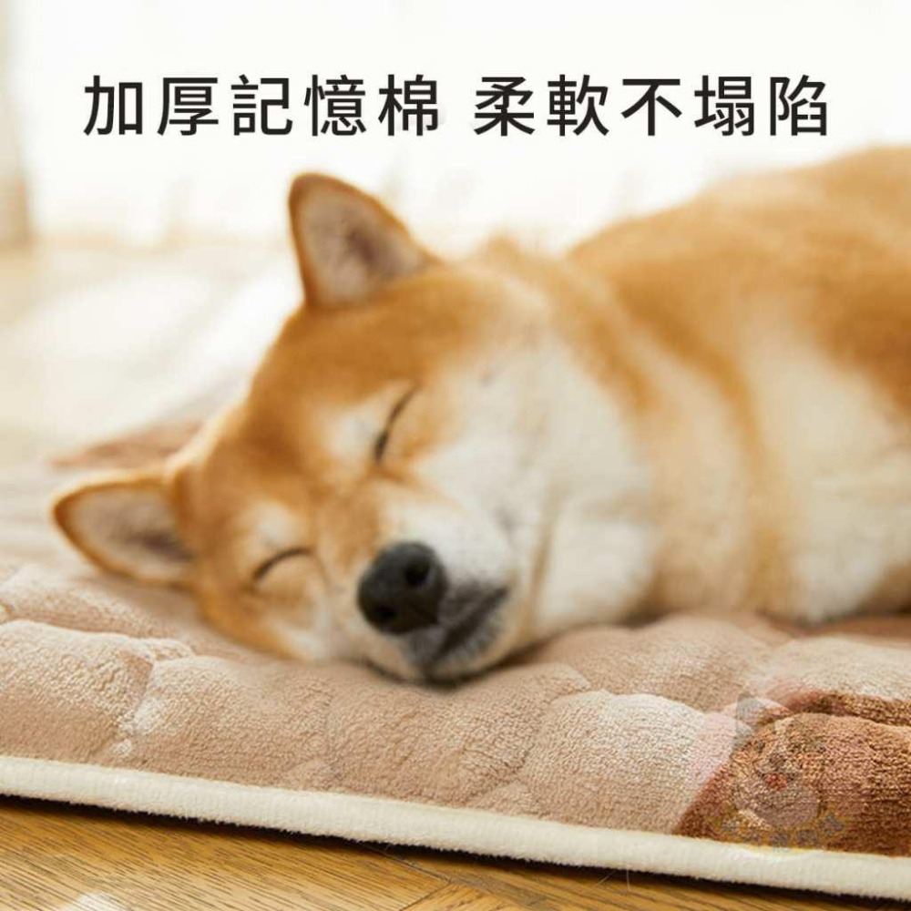 🐶珊瑚絨小狗墊🐶 墊子 寵物墊子 狗狗墊子 狗墊子 貓咪墊子 貓墊子 狗窩 貓窩 寵物睡墊 狗墊 貓墊 寵物窩墊 珊瑚絨-細節圖4