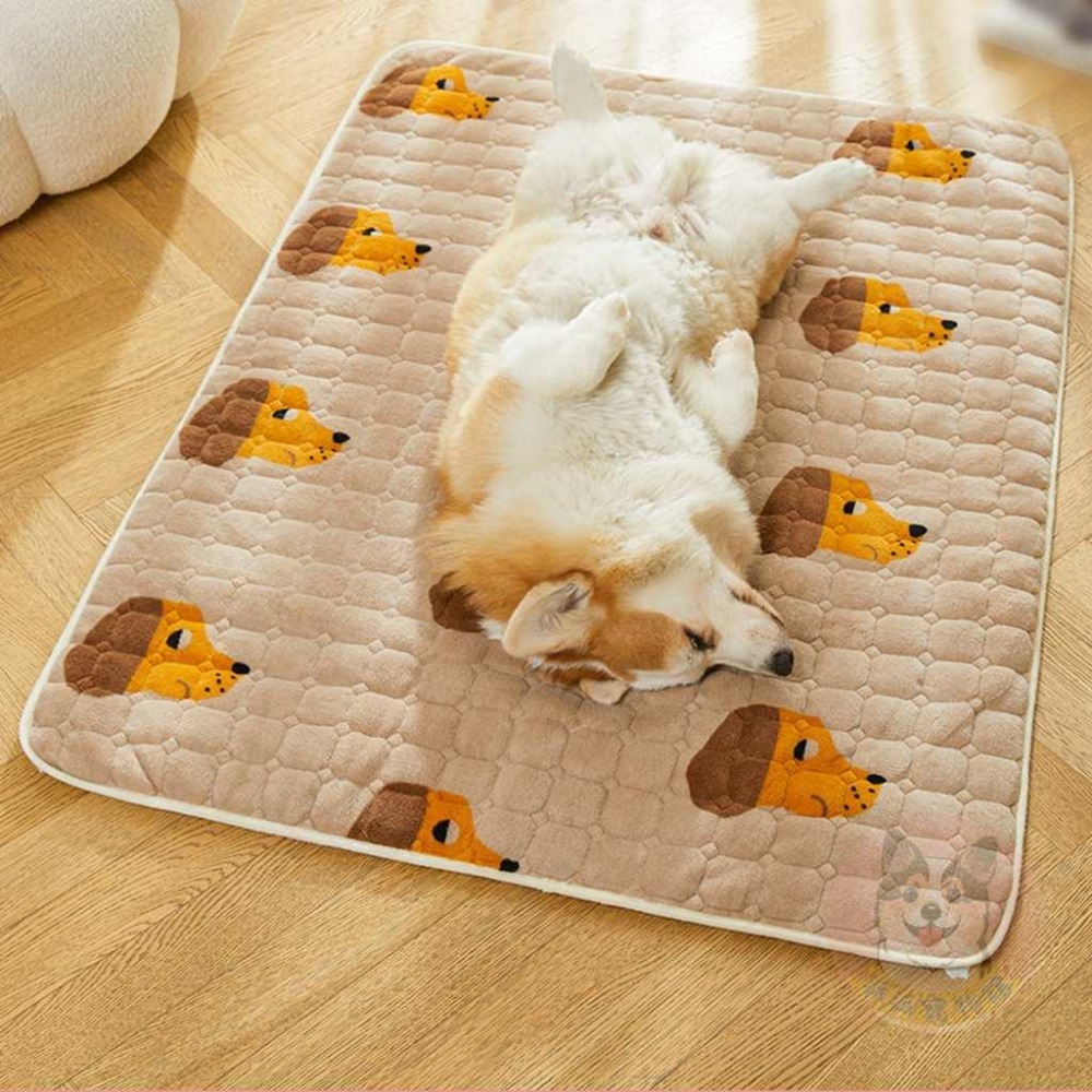 🐶珊瑚絨小狗墊🐶 墊子 寵物墊子 狗狗墊子 狗墊子 貓咪墊子 貓墊子 狗窩 貓窩 寵物睡墊 狗墊 貓墊 寵物窩墊 珊瑚絨-細節圖5