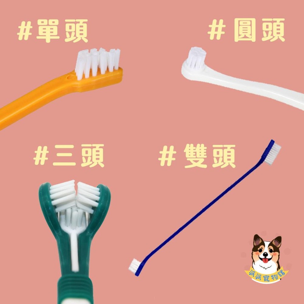 寵物牙刷 狗狗牙刷 狗牙刷 貓牙刷 貓咪牙刷 狗狗刷牙 貓咪刷牙 寵物用品-細節圖2
