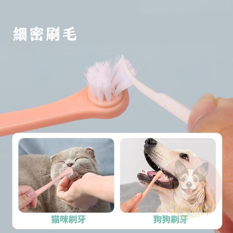 寵物牙刷 狗狗牙刷 狗牙刷 貓牙刷 貓咪牙刷 狗狗刷牙 貓咪刷牙 寵物用品-細節圖5
