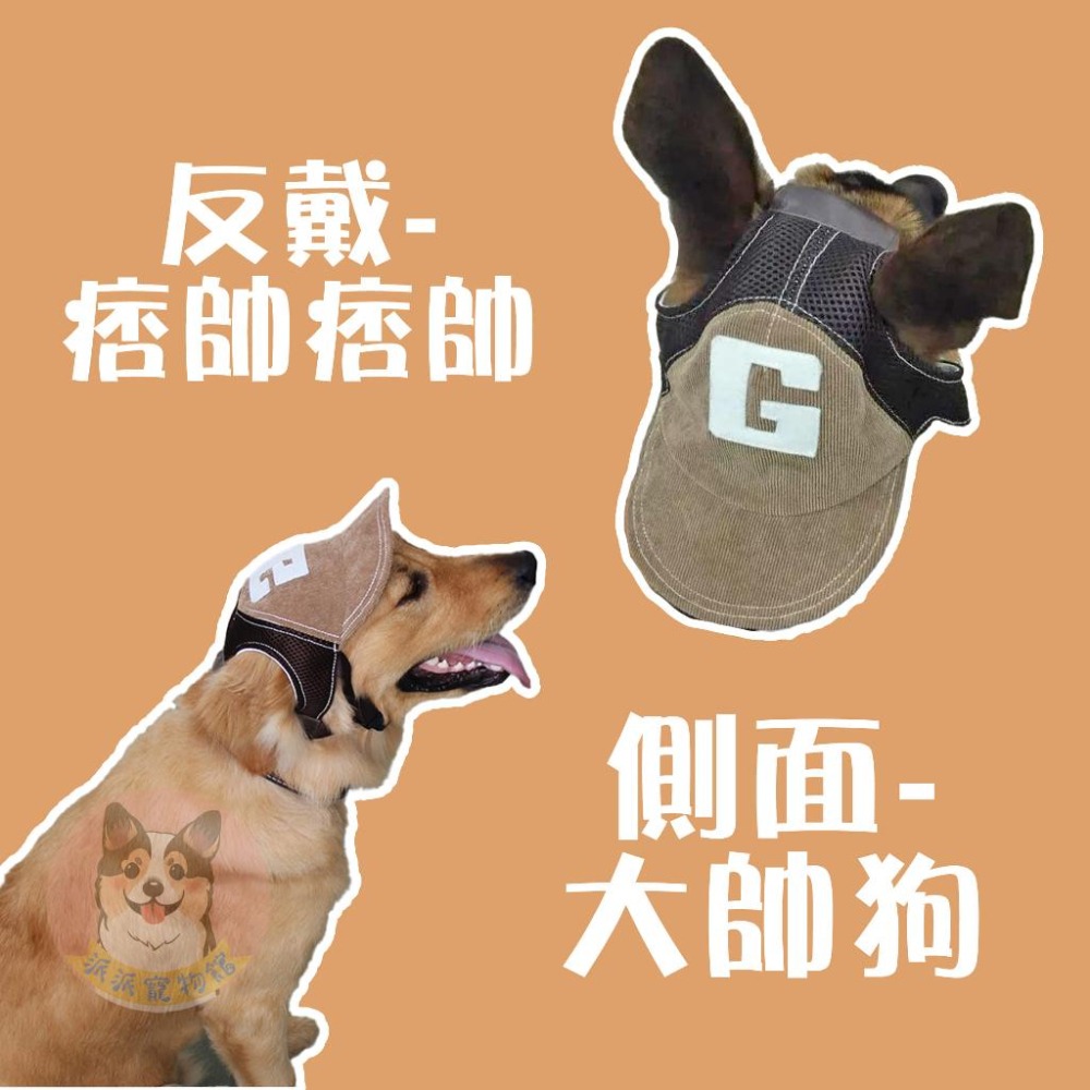 寵物棒球G帽🧢 寵物帽子 狗狗帽子 狗帽子 貓咪帽子 貓帽子 寵物帽 寵物配件 大狗帽子 小狗帽子 狗帽 貓帽 寵物服飾-細節圖3