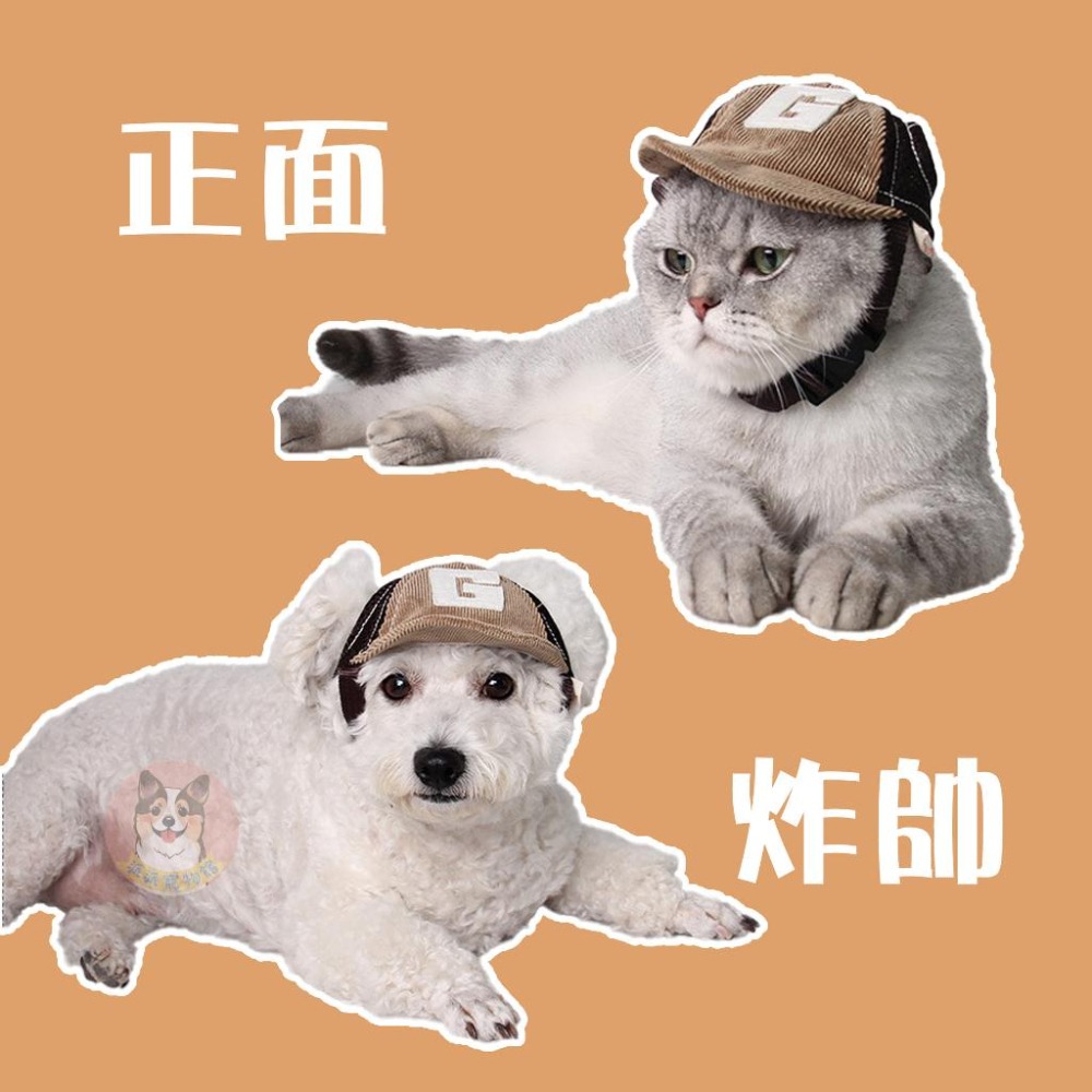寵物棒球G帽🧢 寵物帽子 狗狗帽子 狗帽子 貓咪帽子 貓帽子 寵物帽 寵物配件 大狗帽子 小狗帽子 狗帽 貓帽 寵物服飾-細節圖4