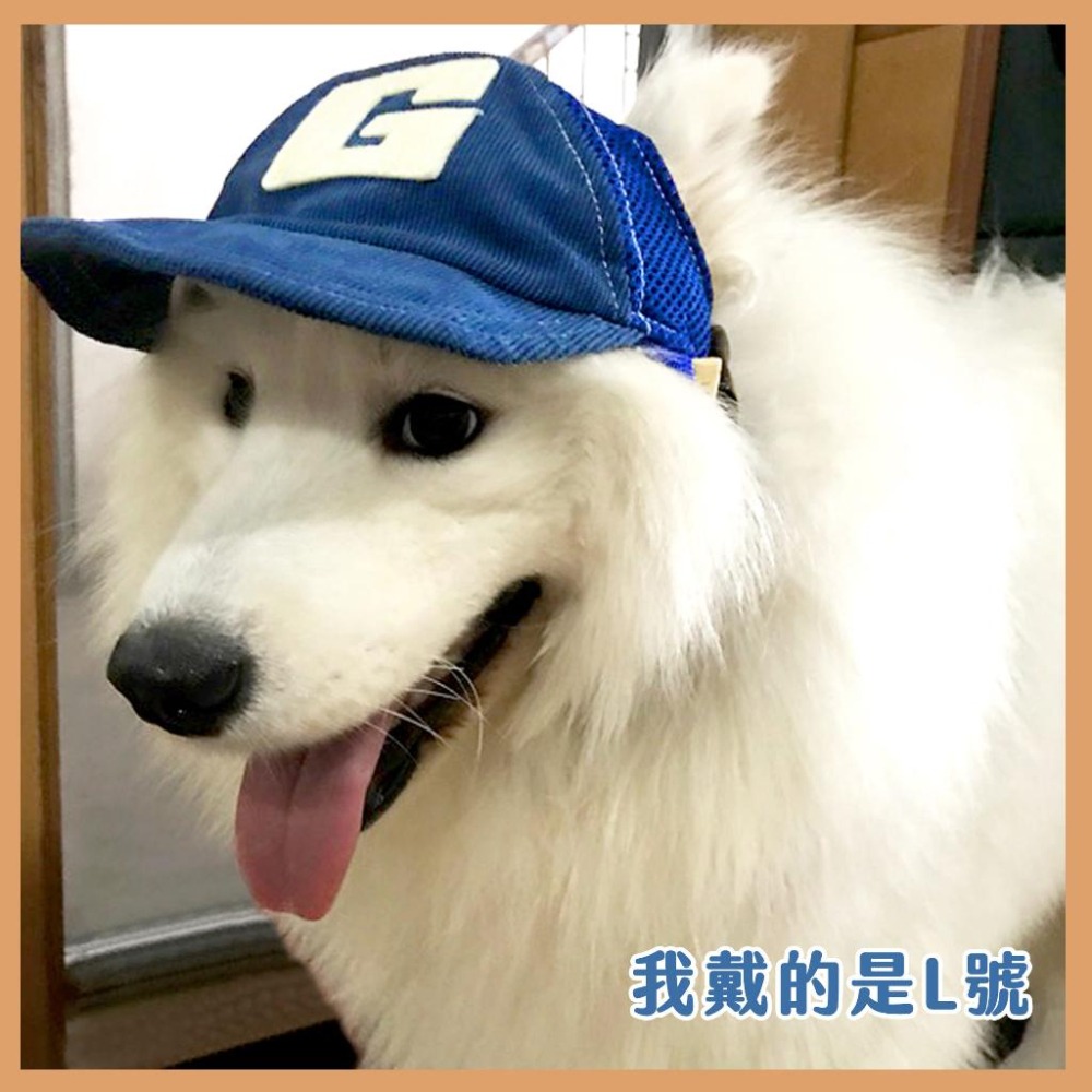 寵物棒球G帽🧢 寵物帽子 狗狗帽子 狗帽子 貓咪帽子 貓帽子 寵物帽 寵物配件 大狗帽子 小狗帽子 狗帽 貓帽 寵物服飾-細節圖7