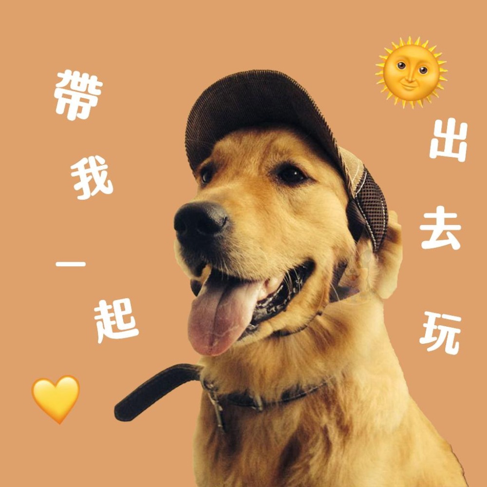 寵物棒球G帽🧢 寵物帽子 狗狗帽子 狗帽子 貓咪帽子 貓帽子 寵物帽 寵物配件 大狗帽子 小狗帽子 狗帽 貓帽 寵物服飾-細節圖8