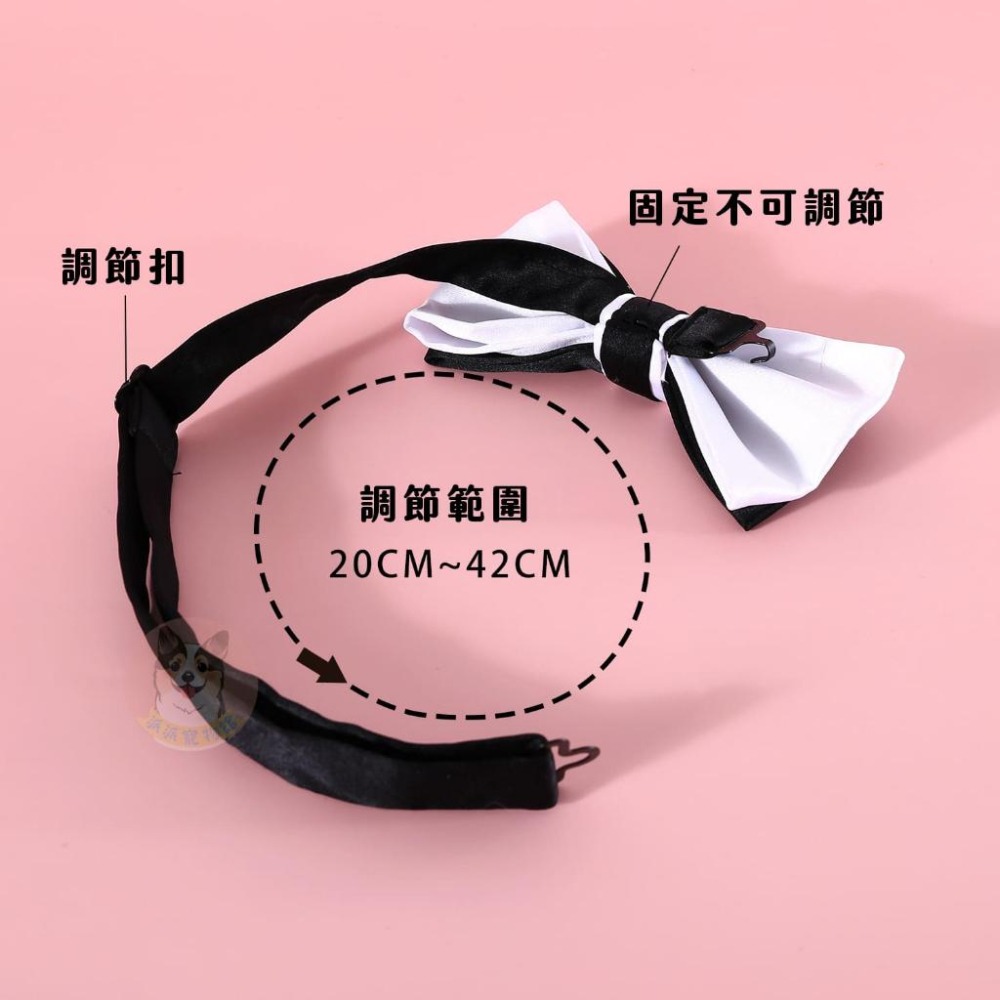 畢業快樂🎉 博士狗狗🎓 寵物配件 寵物帽子 狗狗帽子 貓咪帽子 狗狗眼鏡 寵物眼鏡 貓咪眼鏡領結蝴蝶結寵物領巾寵物服飾-細節圖6