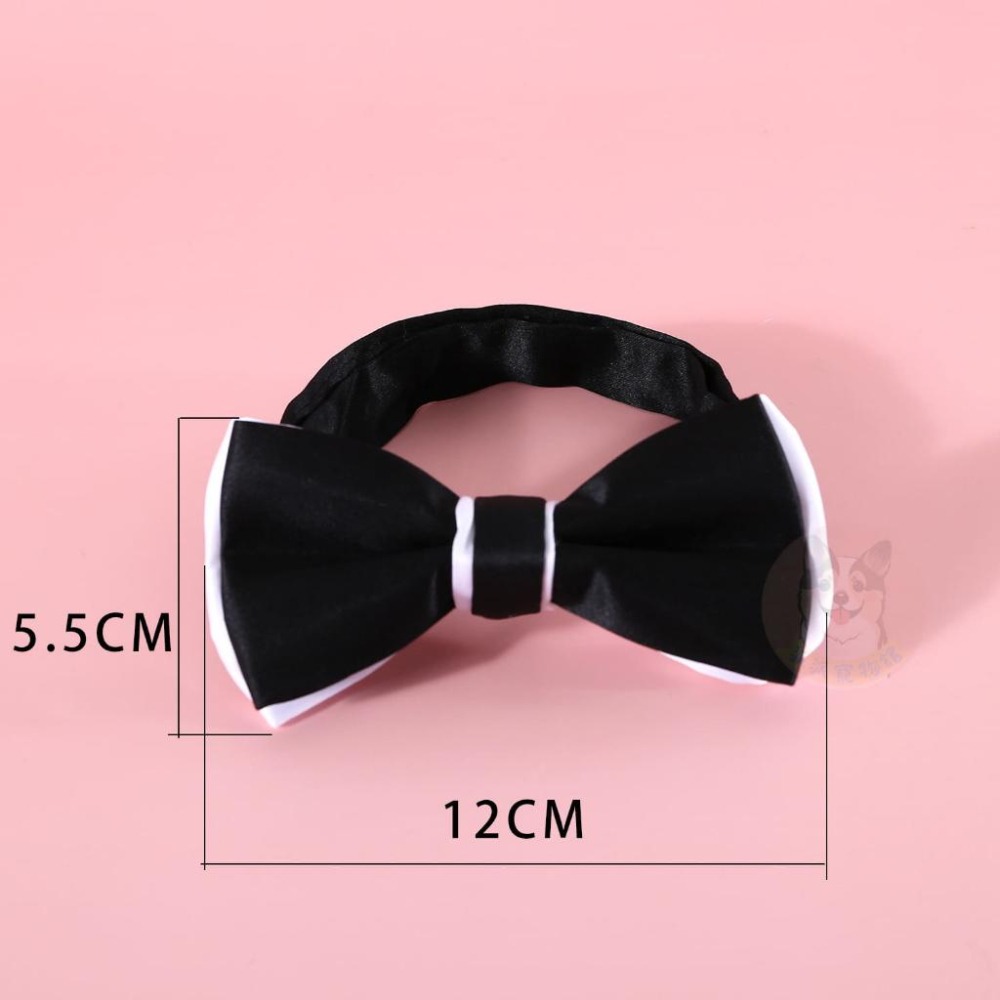 畢業快樂🎉 博士狗狗🎓 寵物配件 寵物帽子 狗狗帽子 貓咪帽子 狗狗眼鏡 寵物眼鏡 貓咪眼鏡領結蝴蝶結寵物領巾寵物服飾-細節圖8