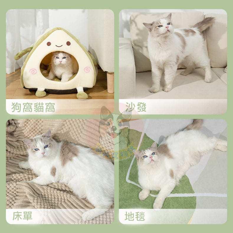 🐸寵物除毛刷🐸 寵物除毛器 寵物黏毛器 重複使用 黏毛刷 寵物清潔用品 狗狗用品 貓咪用品 寵物用品 狗用品 貓用品-細節圖4