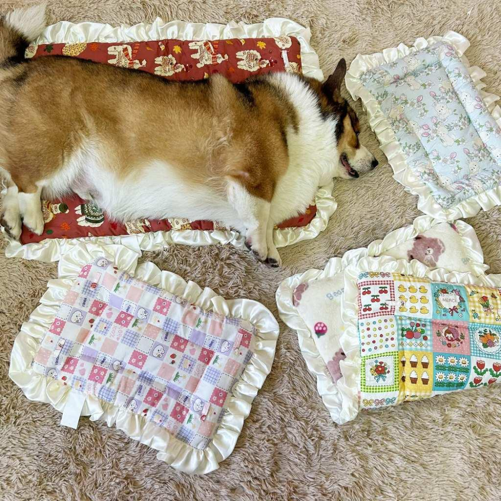 ✨雙面兩用✨ 花邊墊子 寵物墊子 狗狗墊子 狗墊子 貓咪墊子 貓墊子 狗窩 貓窩 寵物睡墊 狗墊貓墊寵物窩墊毛毯法蘭絨-細節圖8