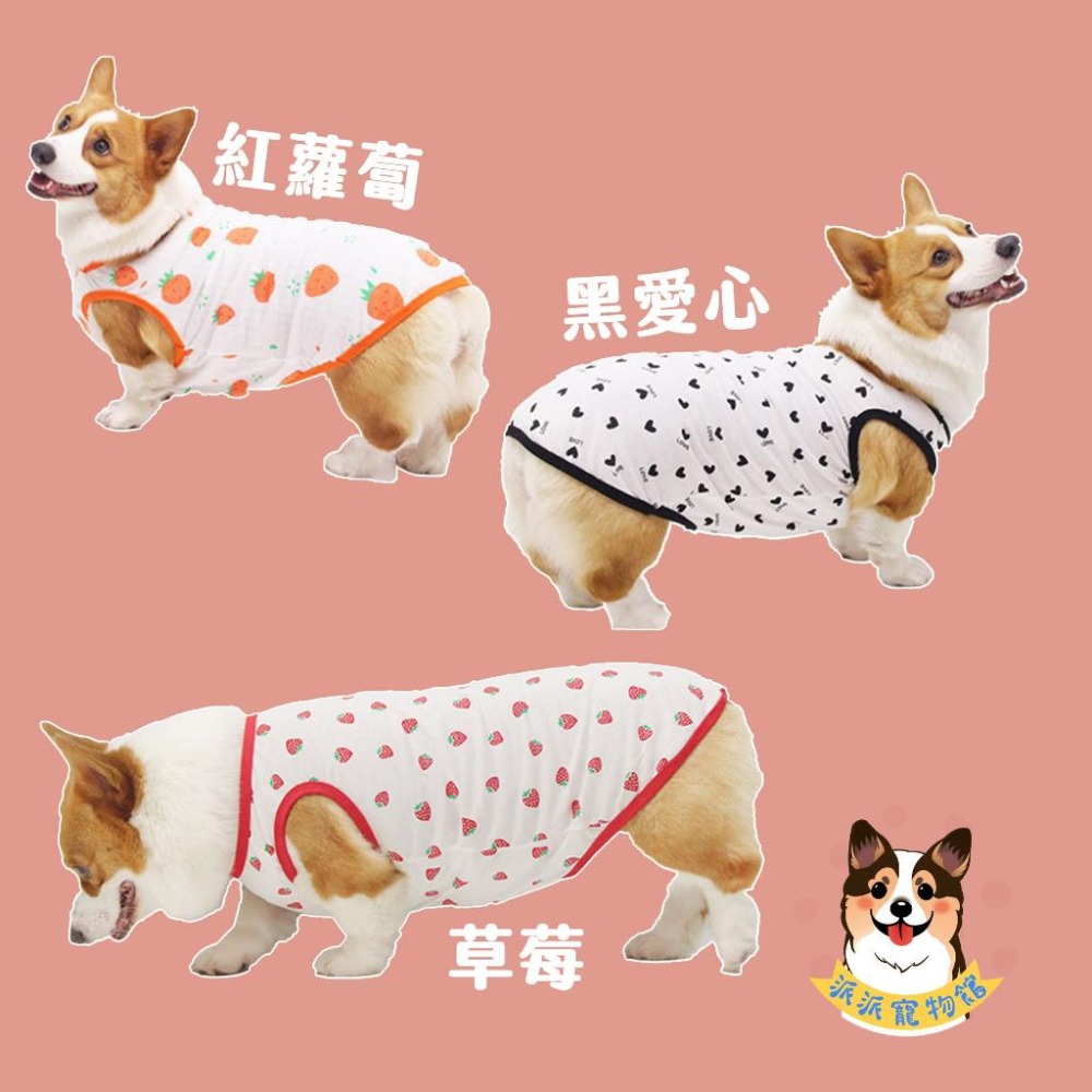 寵物薄背心🍓 狗衣服 狗狗背心 狗狗衣服 寵物衣服夏天 狗背心黃金獵犬幼犬小狗柯基柴犬貴賓臘腸狗博美比熊中小大型犬衣服-細節圖5