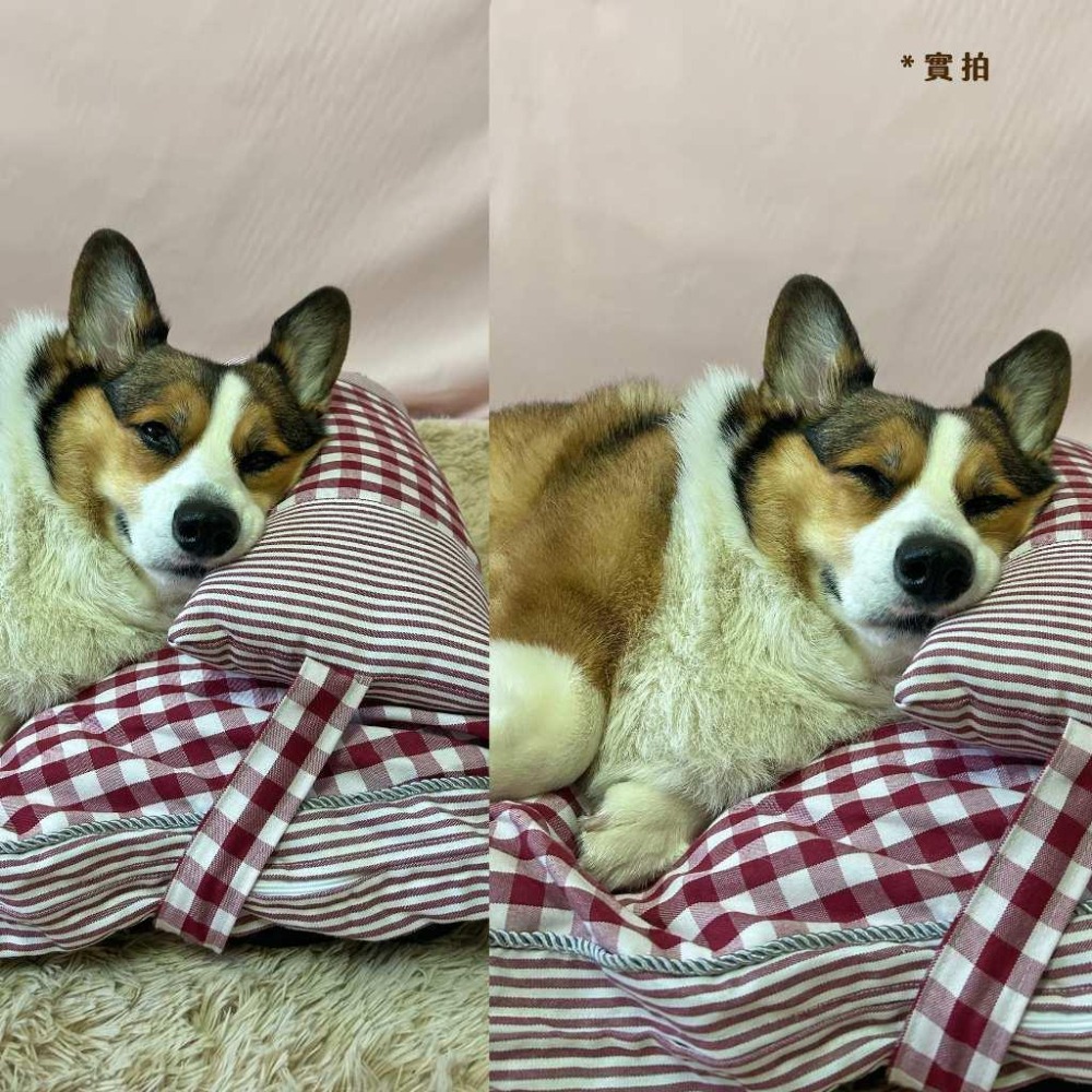 寵物格子床🍃 寵物睡墊 寵物床 狗窩 寵物窩 寵物睡墊 狗狗床 狗狗床墊 寵物睡床 寵物睡窩 貓窩 貓床貓睡墊寵物床墊-細節圖6