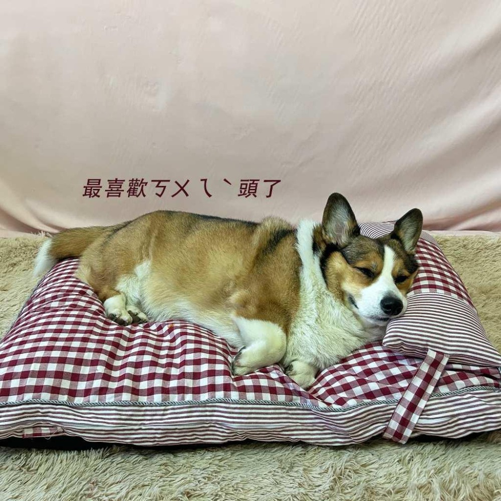 寵物格子床🍃 寵物睡墊 寵物床 狗窩 寵物窩 寵物睡墊 狗狗床 狗狗床墊 寵物睡床 寵物睡窩 貓窩 貓床貓睡墊寵物床墊-細節圖7