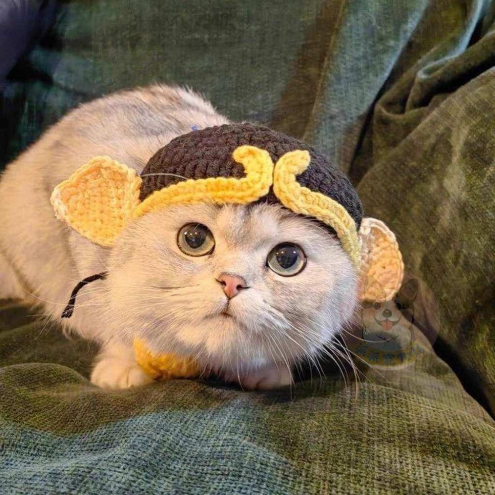 🐸針織小頭套🐸 寵物帽子 貓咪帽子 貓帽子 貓咪頭套 寵物頭套狗狗頭套 狗狗帽子 狗帽子 貓毛帽 狗毛帽 寵物帽 拍照-細節圖4