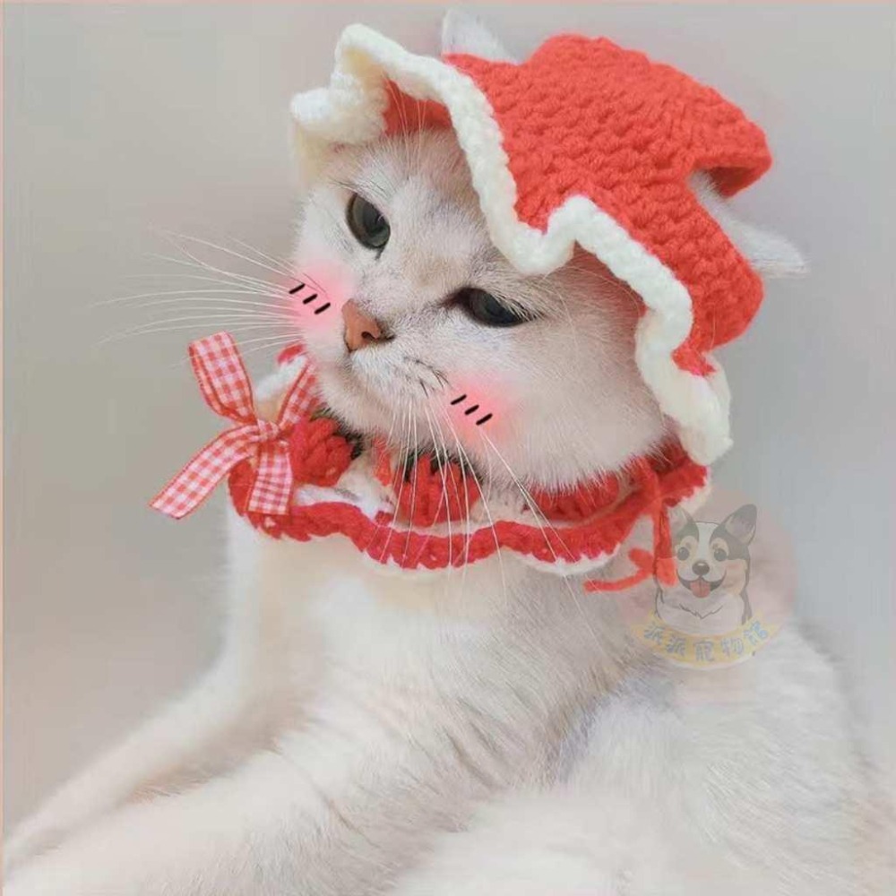 🐸針織小頭套🐸 寵物帽子 貓咪帽子 貓帽子 貓咪頭套 寵物頭套狗狗頭套 狗狗帽子 狗帽子 貓毛帽 狗毛帽 寵物帽 拍照-細節圖5